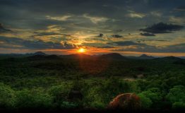 Parque Nacional del Manu: La mayor biodiversidad del planeta