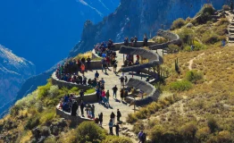 Descubre el Cañón Colca desde Arequipa 1 dia