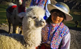 Descubre el Cañón Colca desde Arequipa 1 dia