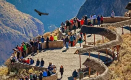 Descubre el Cañón Colca desde Arequipa 1 dia