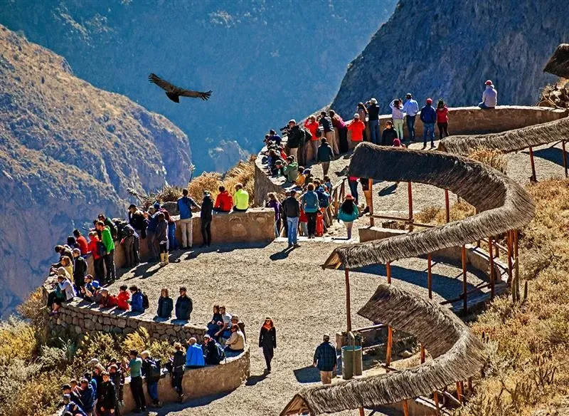 Descubre el Cañón Colca desde Arequipa 1 dia