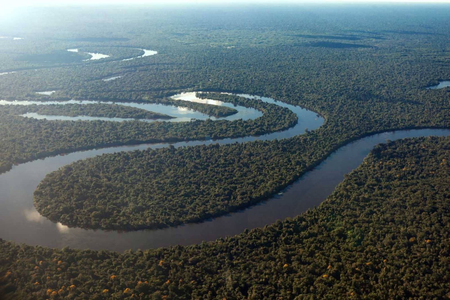 Wild Amazon Peru