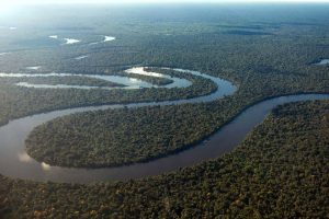 The Wild Amazon Peru