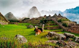Tour Machupicchu 1 dia